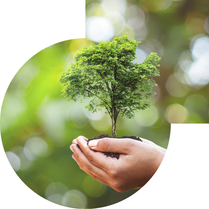 关怀人类、文化、环境与社会